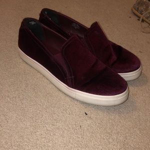 Velvet Steve Madden shoes